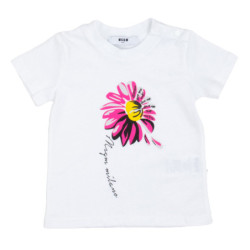 Msgm - T-shirt