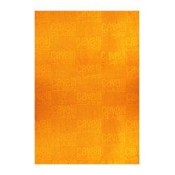 CAVALLI CLASS WOMEN&39S BEACH TOWEL ORANGE