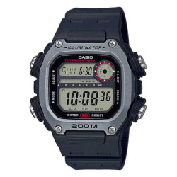 Casio - DW-291H