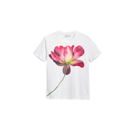 Desigual - Desigual T-Shirt Donna