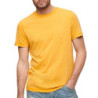 Superdry - M1011888A-