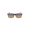 CALVIN KLEIN SUNGLASSES FOR MEN BLACK